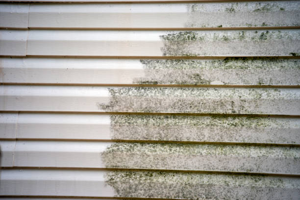 Best Hoarding Cleanup  in Penn Yan, NY